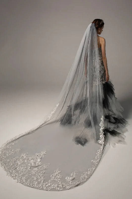 Two-tier Lace Edge Tulle Cathedral Veils Appliques CV0191 Long Sleeve Tulle
