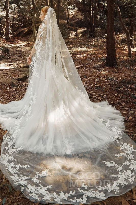 One-tier Lace Edge Tulle Cathedral Veils Appliques CV0188 Formal Tulle Dress